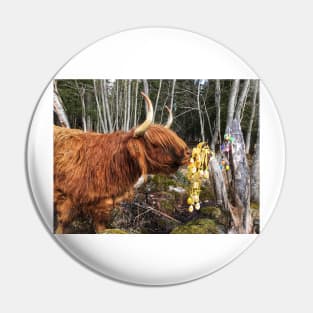 Scottish Highland Cattle Cow and Easter eggs 2349 Pin