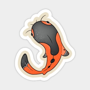 koi Magnet