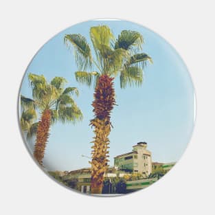 Pretty picture of a Palm Tree. Pretty Palm Trees Photography design with blue sky Pin