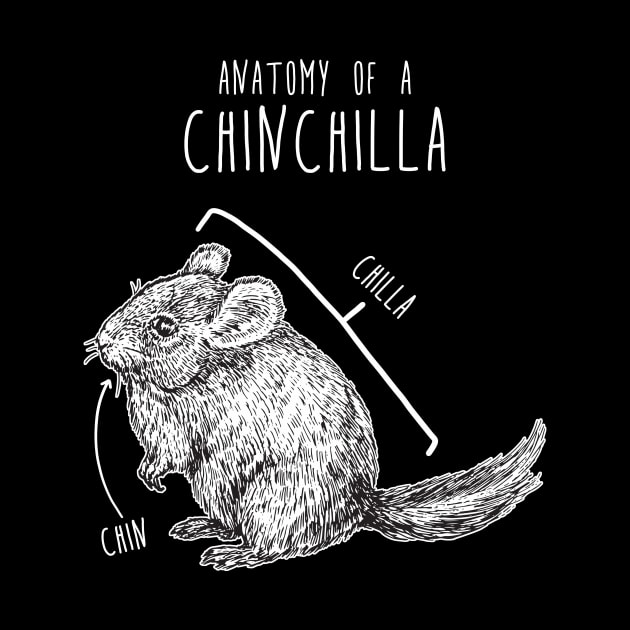 Chinchilla Anatomy by Psitta