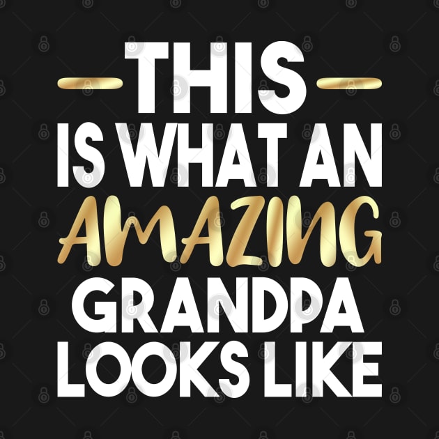 This Is What An Amazing Grandpa Looks Like by Dhme