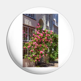 Roses, historical house facade, door, , old town, Lübeck, Schleswig-Holstein, Germany, Europe Pin