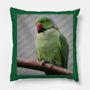 Perched Parakeet Pillow