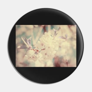 White Cherry Plum flowers Pin