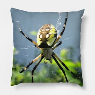 Orb Weaver Spider Pillow