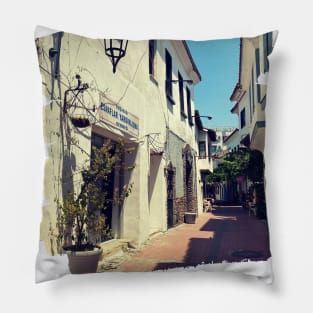 Beautiful Photography from Turkey ancient city historic city Ephesus Theatre Pillow