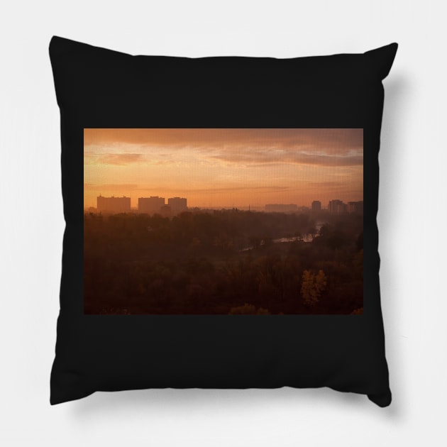 Morning Has Broken Pillow by EugeJ