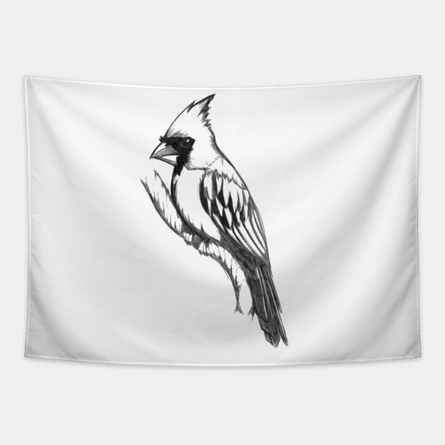 Northern Cardinal - Pencil Bird Illustration Tapestry by Xonaar Illustrations