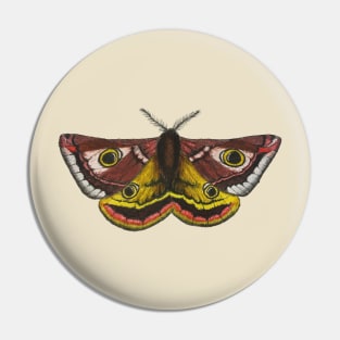 Little Emperor Moth Pin