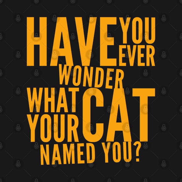 Have You Ever Wonder What Your Cat Named You by kooicat