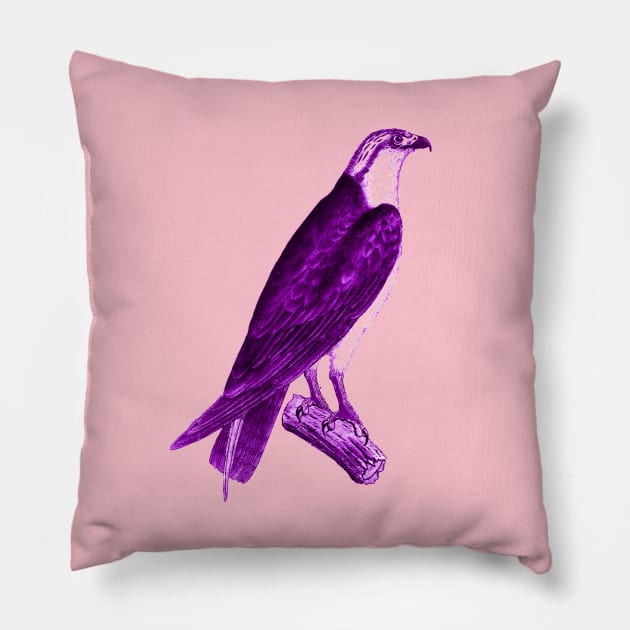 hawk,bald eagle,falcon,golden eagle,birdie,bird,bird of prey,raptor,aquila,vulture,heron,golf game,golf,eaglet,condor,haliaeetus,harpy eagle,beak,eagle putt Pillow by vabontchi