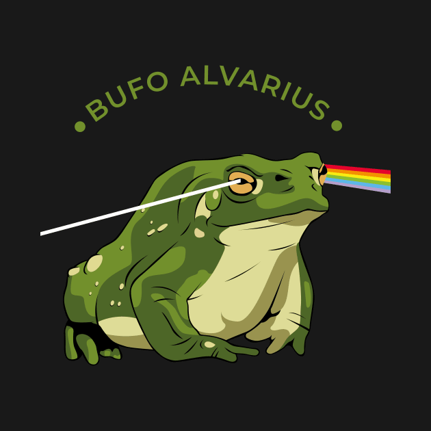 Bufo Alvarius by difrats