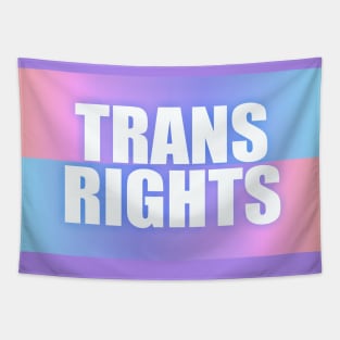 Trans Rights Tapestry