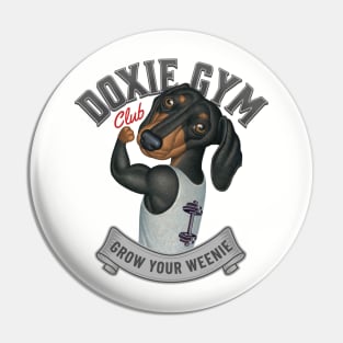 Cute Doxie Dog going to Doxie Gym in Gray trim Pin