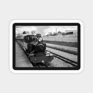 Steam train at the station on the Bure Valley railway line Magnet