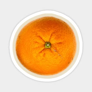 Fruit, Fresh Orange Magnet