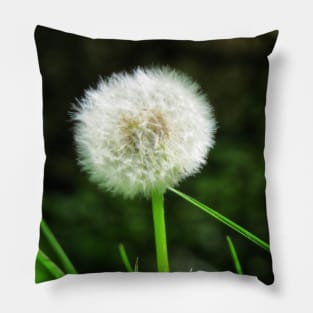 Dandelion Pillow