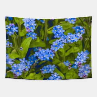 Forget-me-not, blue, tender flowers Tapestry