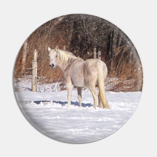 Winter White Horse Pin