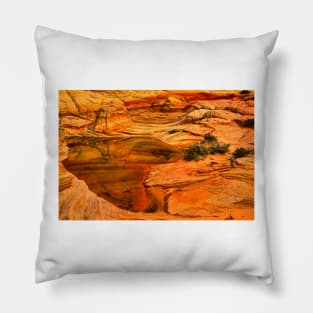 Arizona Desert Oasis Pillow
