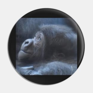 Baby Western Lowland Gorilla Pin