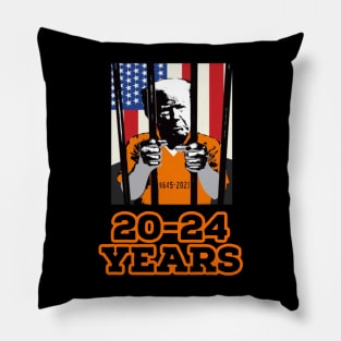 20-24 Years Pillow