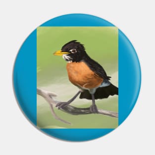 Robin Painting Pin