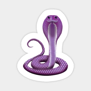 Purple Cobra Magnet