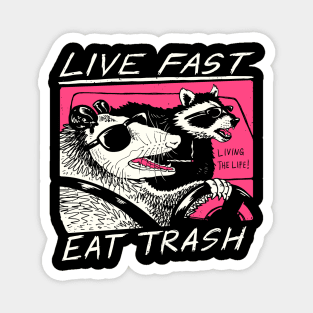 Live Fast Eat Trash And Get Hit By A Car Raccoon Opossum Magnet