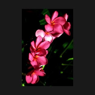 plumeria-flowers-lei-frangipani-floral-pink-blossom-flp-shirtyshirto-82 T-Shirt
