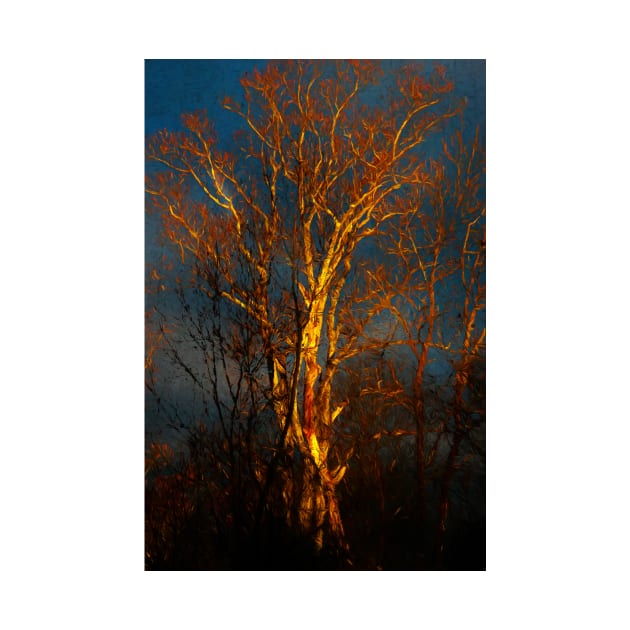 Winter Tree by EileenMcVey