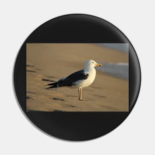 Dreamy Seagull Pin