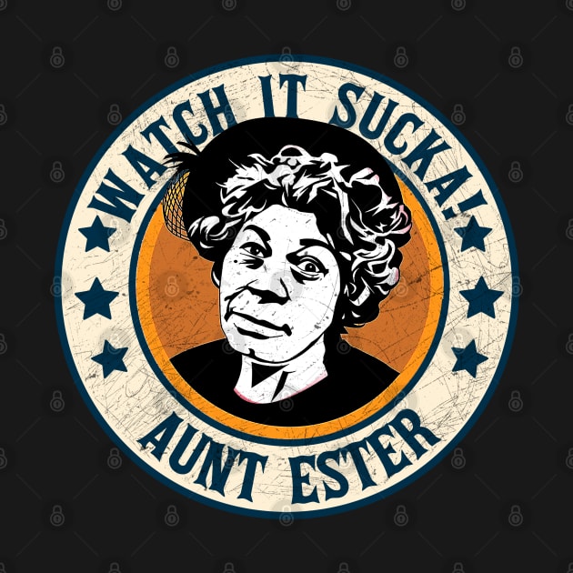 Watch Sucka! - Aunt Esther - Sanford & Son by rido public