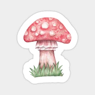 toadstool mushroom Magnet