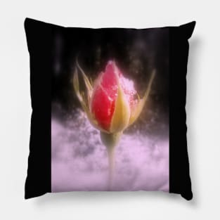 rosebud in the snow 4 Rainier oregon Pillow