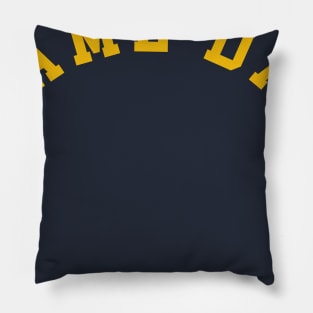 Game Day Pillow