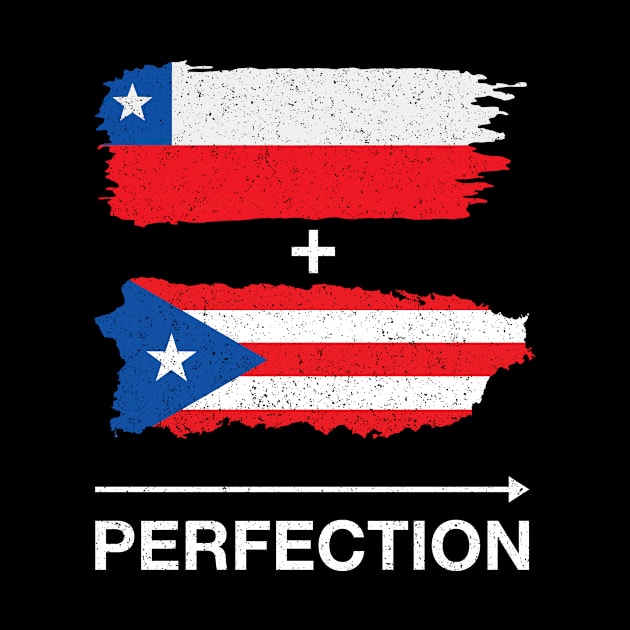 Chilean Plus Puerto Rican Perfection Heritage Flag by paveldmit