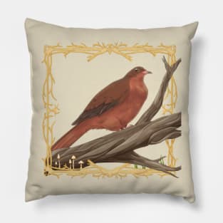 Socorro Dove Pillow