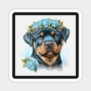 Rottweiler Portrait Magnet