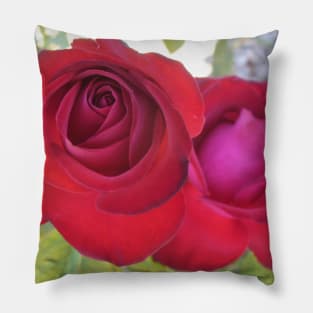 Pretty Red Roses Pillow