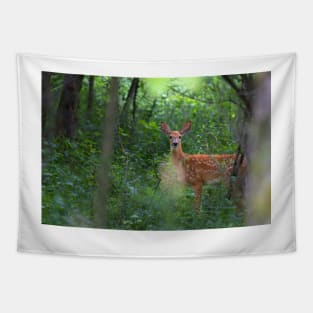 Forest Fawn - White-tailed deer Tapestry