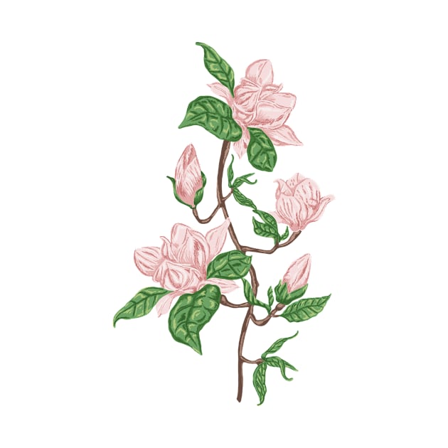 Magnolia Botanical by Salfiart