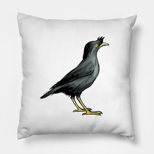 Crested Myna Pillow