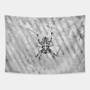 Spider Tapestry