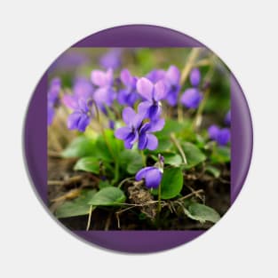 Violets Pin