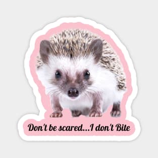 Don't be scared...I don't Bite cute baby animal Magnet