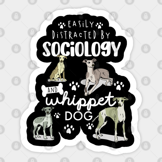 Sociology And Whippet Dog - Sociology Degree Loading - Sticker | TeePublic Sociology And Whippet Dog - Sociology Degree Loading - Sticker | TeePublic