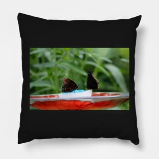 Party At The Feeder Pillow