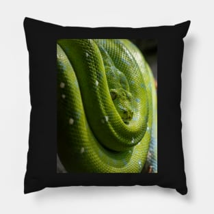 Green Tree Python, Australian Reptile Pillow