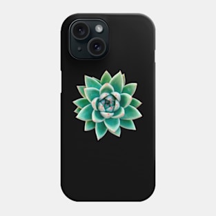 Echeveria Agavoid Phone Case